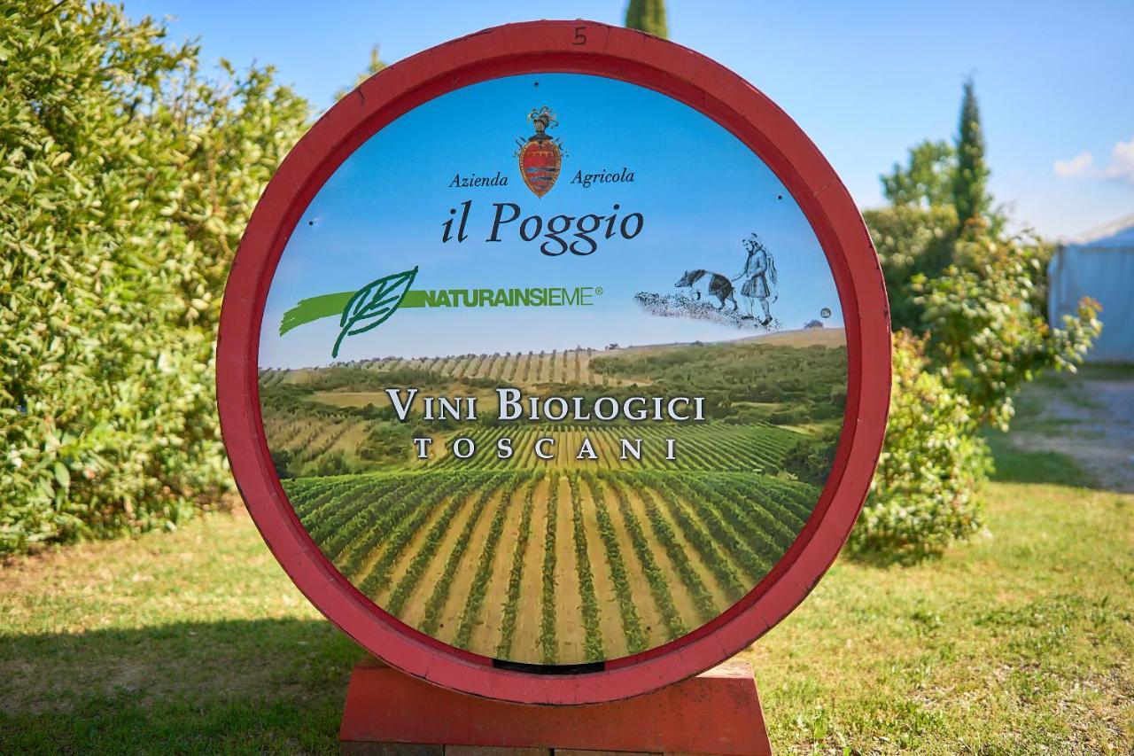 Il Poggio Guest House Celle sul Rigo Luaran gambar